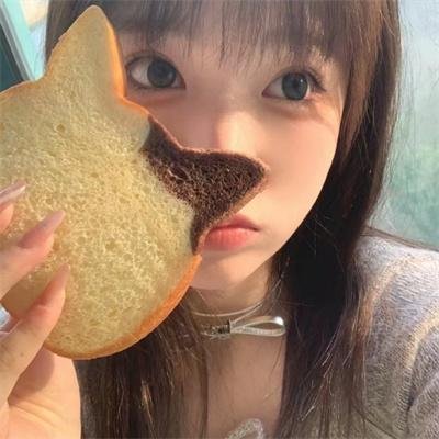如何与我的猫分手